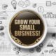 growing a small business
